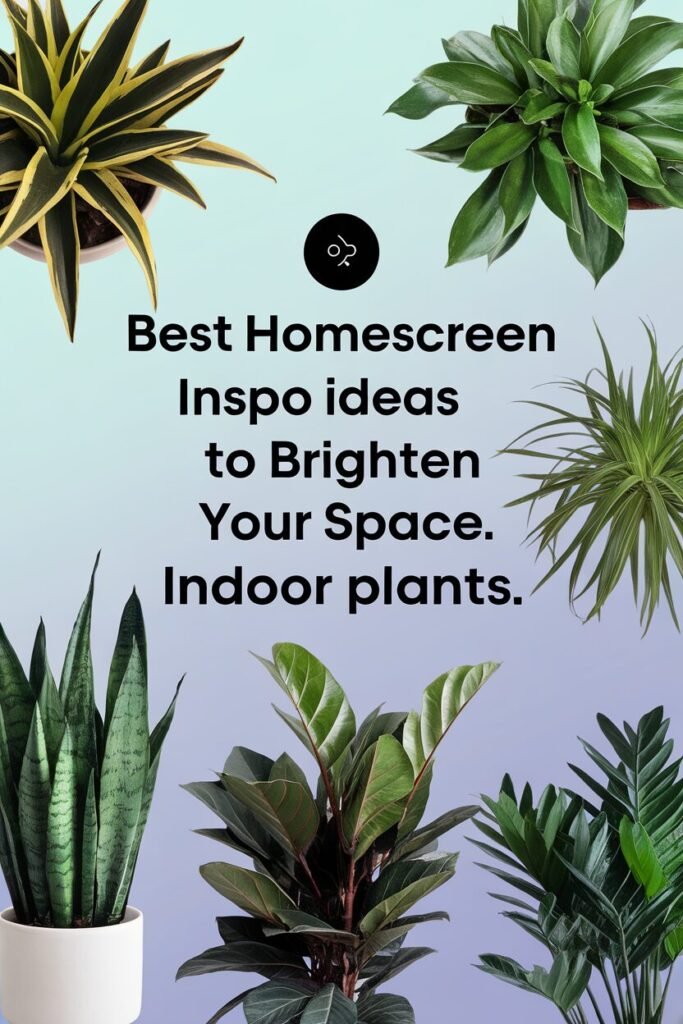 Indoor Plants